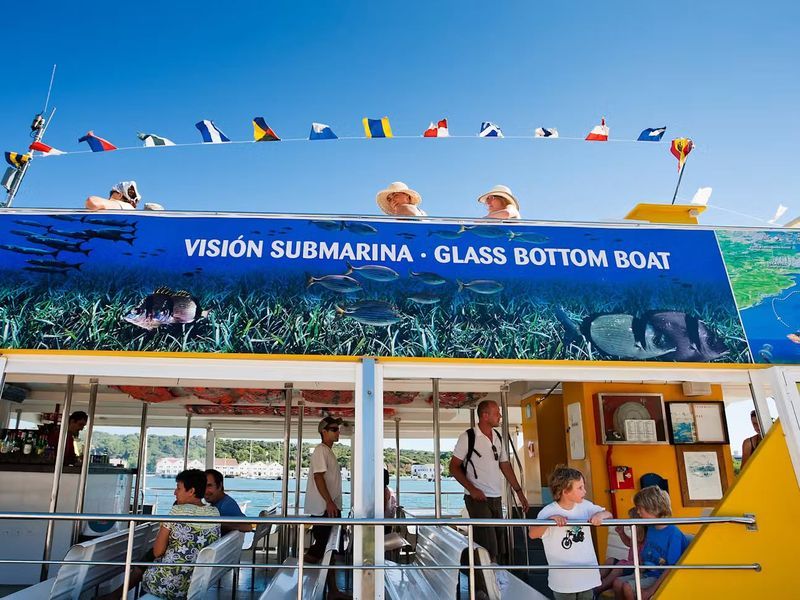 What to do - Boat Trips