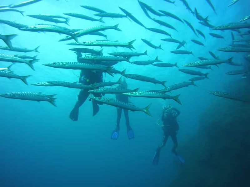 Menorca Dives