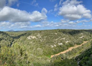 Guide to Alaior Menorca