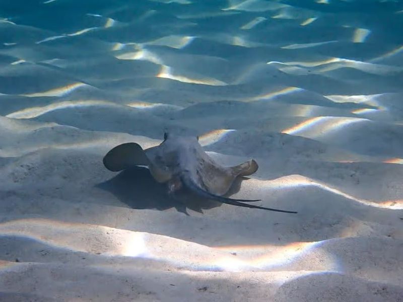 Cala Galdana Adventure Activity