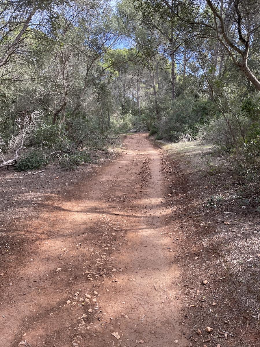 Menorca the Cami de Cavall Stages